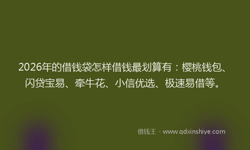 2026年的借钱袋怎样借钱最划算有：樱桃钱包、闪贷宝易、牵牛花、小信优选、极速易借等。