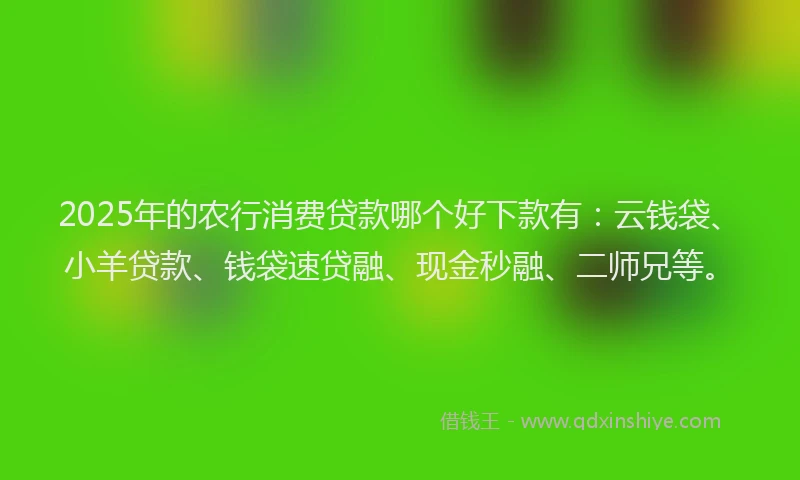 2025年的农行消费贷款哪个好下款有：云钱袋、小羊贷款、钱袋速贷融、现金秒融、二师兄等。