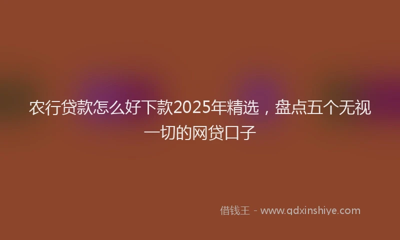 农行贷款怎么好下款2025年精选，盘点五个无视一切的网贷口子