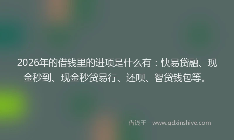 2026年的借钱里的进项是什么有：快易贷融、现金秒到、现金秒贷易行、还呗、智贷钱包等。