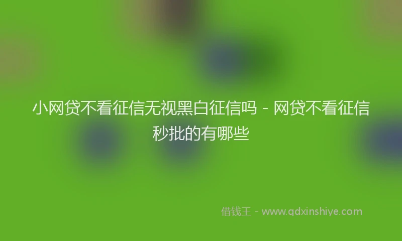 小网贷不看征信无视黑白征信吗 - 网贷不看征信秒批的有哪些