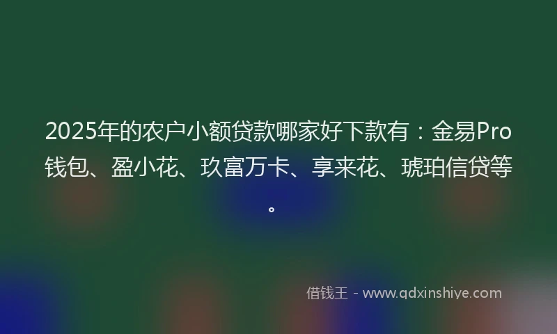 2025年的农户小额贷款哪家好下款有：金易Pro钱包、盈小花、玖富万卡、享来花、琥珀信贷等。