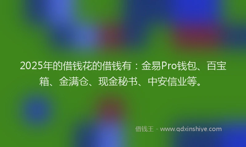 2025年的借钱花的借钱有：金易Pro钱包、百宝箱、金满仓、现金秘书、中安信业等。