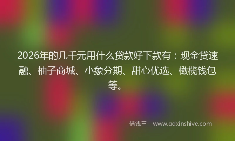 2026年的几千元用什么贷款好下款有：现金贷速融、柚子商城、小象分期、甜心优选、橄榄钱包等。