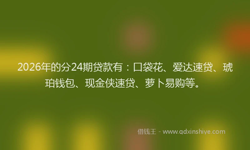 2026年的分24期贷款有：口袋花、爱达速贷、琥珀钱包、现金侠速贷、萝卜易购等。