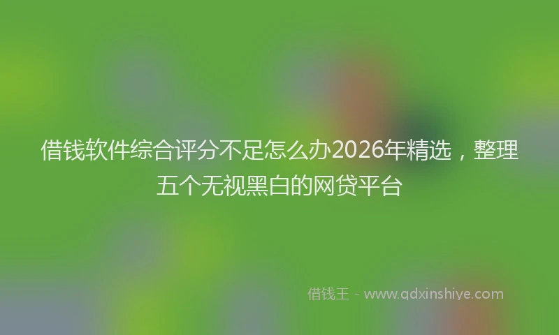 借钱软件综合评分不足怎么办2026年精选，整理五个无视黑白的网贷平台