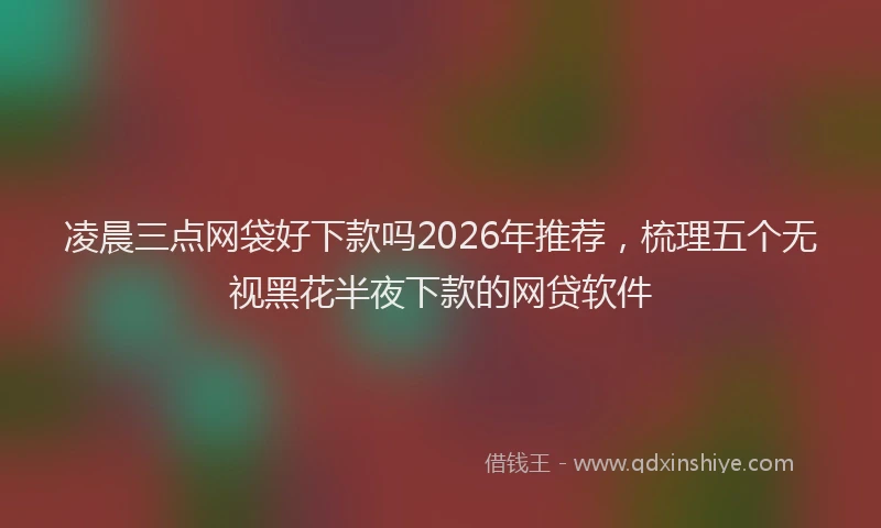 凌晨三点网袋好下款吗2026年推荐，梳理五个无视黑花半夜下款的网贷软件