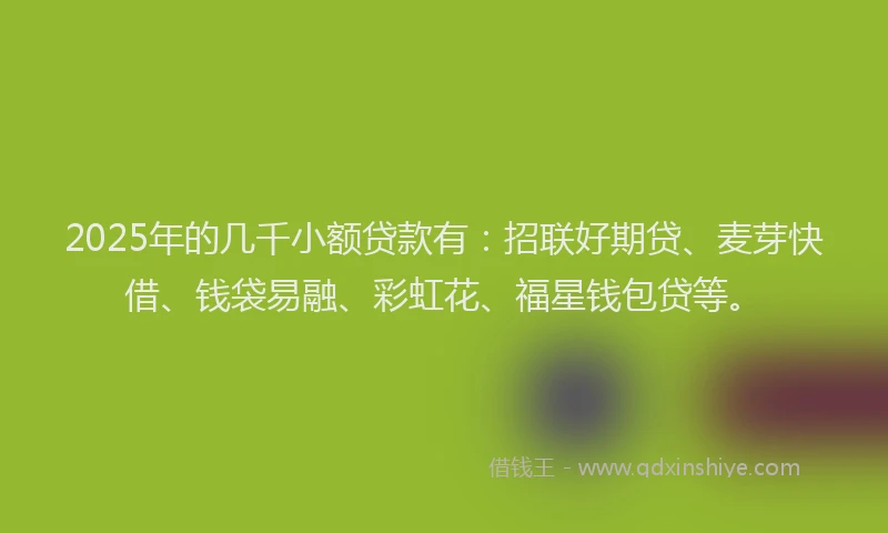 2025年的几千小额贷款有：招联好期贷、麦芽快借、钱袋易融、彩虹花、福星钱包贷等。