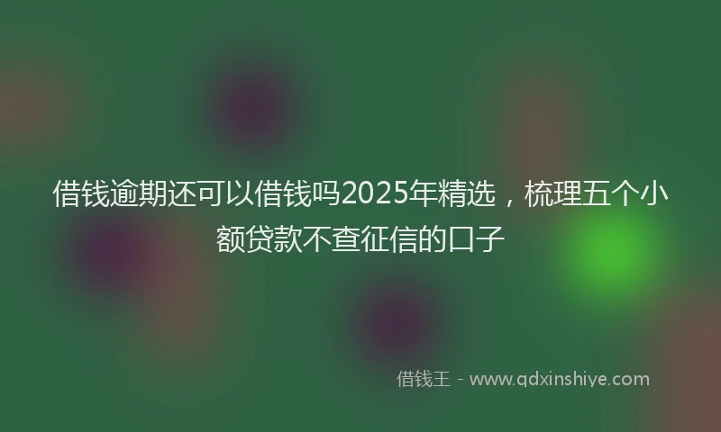 借钱逾期还可以借钱吗2025年精选，梳理五个小额贷款不查征信的口子