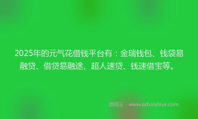 2025年的元气花借钱平台有：金瑞钱包、钱袋易融贷、借贷易融途、超人速贷、钱速借宝等。