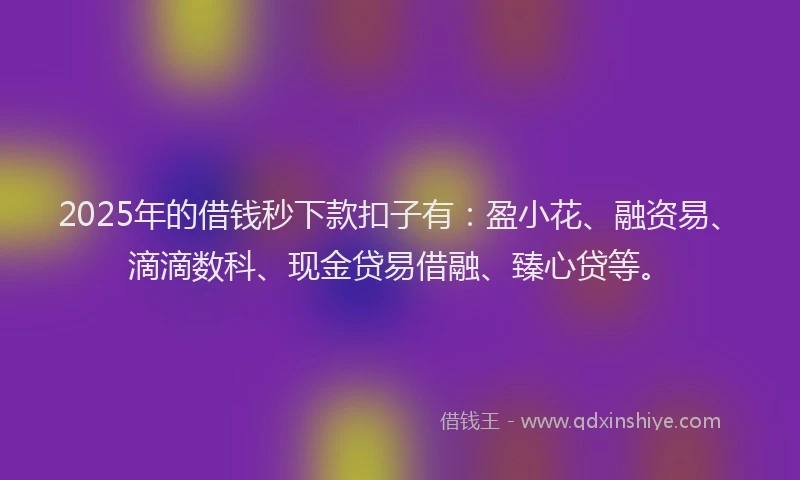 2025年的借钱秒下款扣子有：盈小花、融资易、滴滴数科、现金贷易借融、臻心贷等。