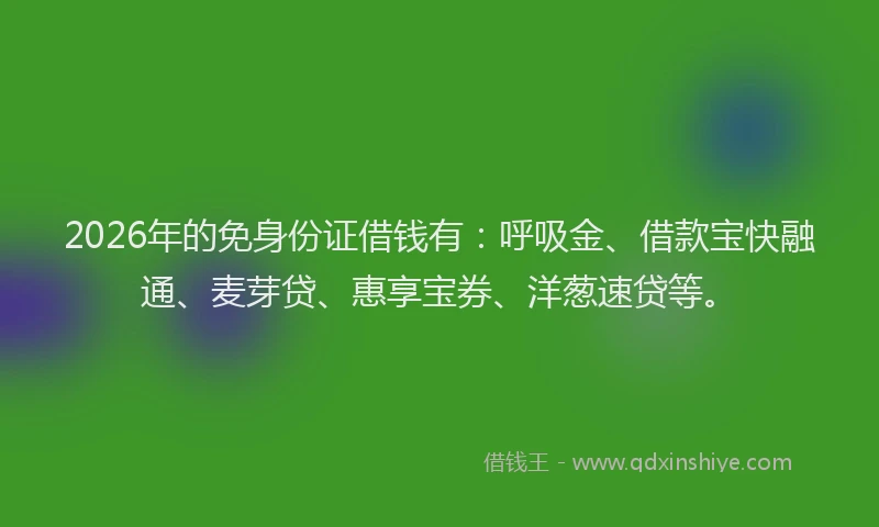 2026年的免身份证借钱有:呼吸金、借款宝快融通、麦芽贷、惠享宝券、洋葱速贷等。