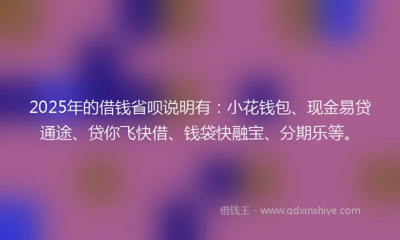 2025年的借钱省呗说明有：小花钱包、现金易贷通途、贷你飞快借、钱袋快融宝、分期乐等。