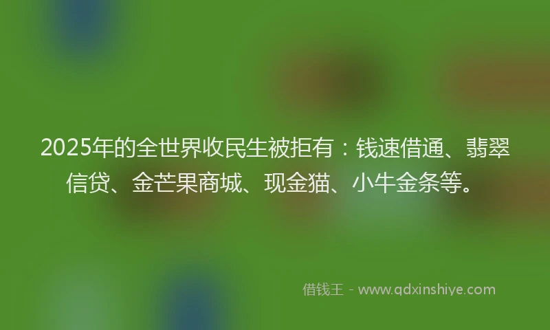 2025年的全世界收民生被拒有:钱速借通、翡翠信贷、金芒果商城、现金猫、小牛金条等。
