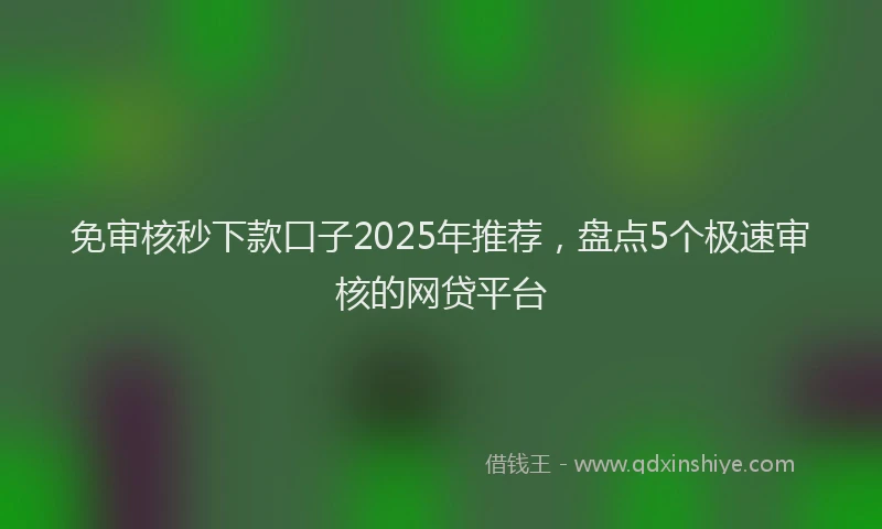 免审核秒下款口子2025年推荐，盘点5个极速审核的网贷平台