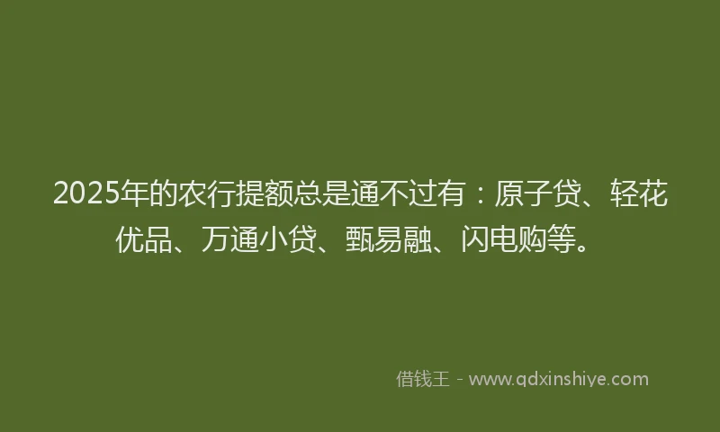 2025年的农行提额总是通不过有：原子贷、轻花优品、万通小贷、甄易融、闪电购等。