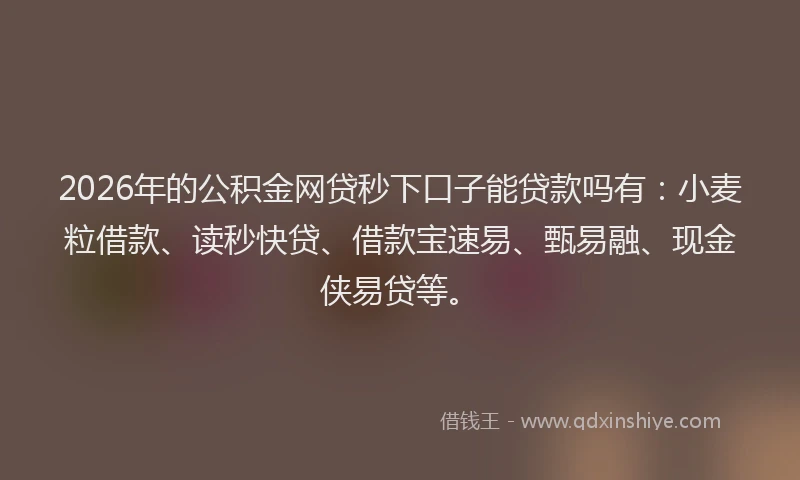 2026年的公积金网贷秒下口子能贷款吗有：小麦粒借款、读秒快贷、借款宝速易、甄易融、现金侠易贷等。