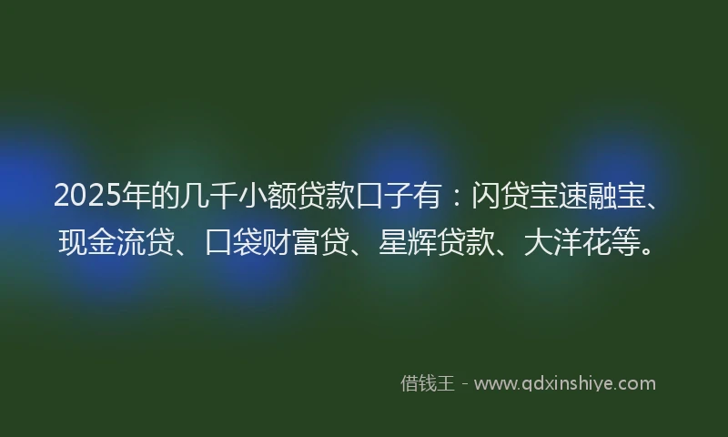 2025年的几千小额贷款口子有：闪贷宝速融宝、现金流贷、口袋财富贷、星辉贷款、大洋花等。