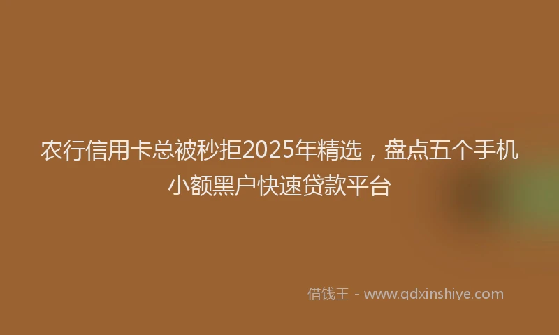 农行信用卡总被秒拒2025年精选，盘点五个手机小额黑户快速贷款平台