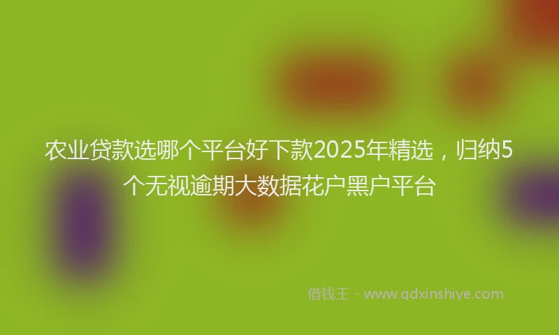 农业贷款选哪个平台好下款2025年精选，归纳5个无视逾期大数据花户黑户平台