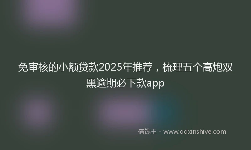 免审核的小额贷款2025年推荐,梳理五个高炮双黑逾期必下款app