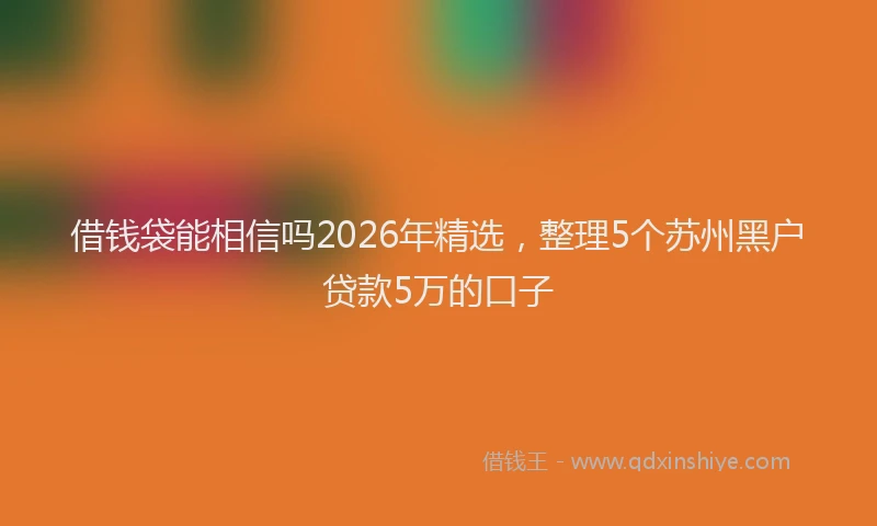 借钱袋能相信吗2026年精选，整理5个苏州黑户贷款5万的口子