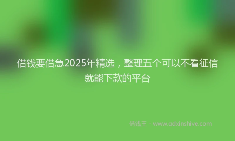 借钱要借急2025年精选，整理五个可以不看征信就能下款的平台