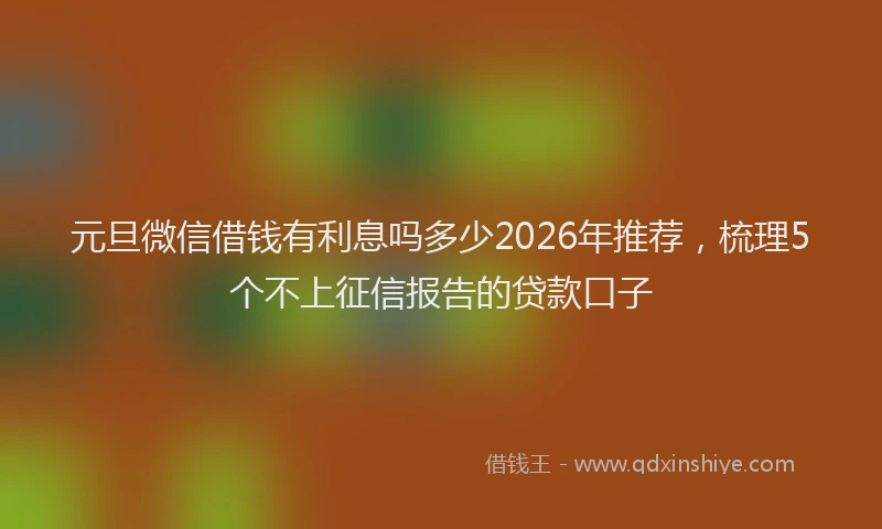 元旦微信借钱有利息吗多少2026年推荐，梳理5个不上征信报告的贷款口子