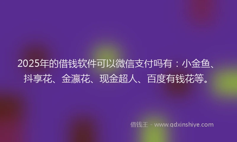 2025年的借钱软件可以微信支付吗有:小金鱼、抖享花、金瀛花、现金超人、百度有钱花等。