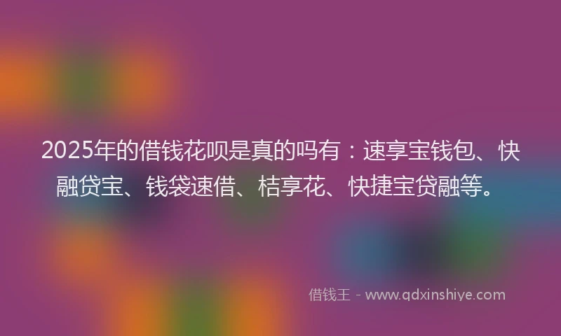 2025年的借钱花呗是真的吗有：速享宝钱包、快融贷宝、钱袋速借、桔享花、快捷宝贷融等。