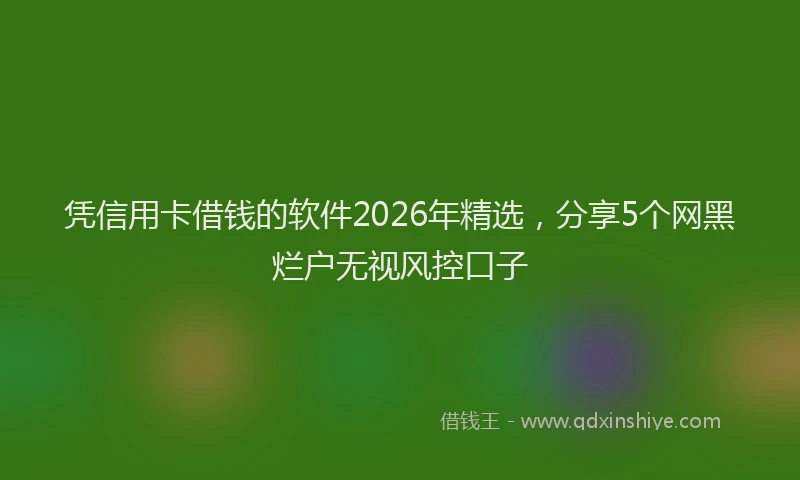 凭信用卡借钱的软件2026年精选，分享5个网黑烂户无视风控口子