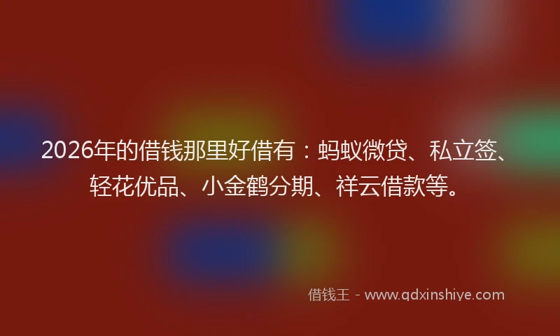 2026年的借钱那里好借有：蚂蚁微贷、私立签、轻花优品、小金鹤分期、祥云借款等。