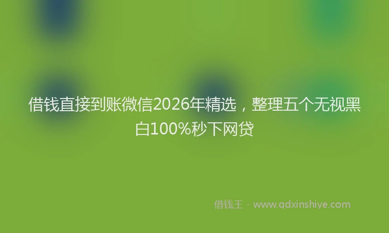 借钱直接到账微信2026年精选，整理五个无视黑白100%秒下网贷
