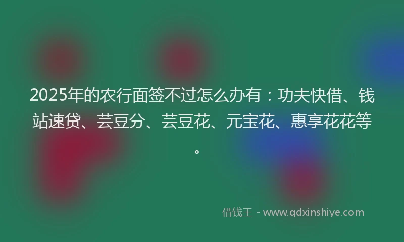 2025年的农行面签不过怎么办有：功夫快借、钱站速贷、芸豆分、芸豆花、元宝花、惠享花花等。