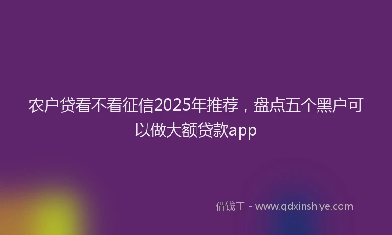 农户贷看不看征信2025年推荐，盘点五个黑户可以做大额贷款app