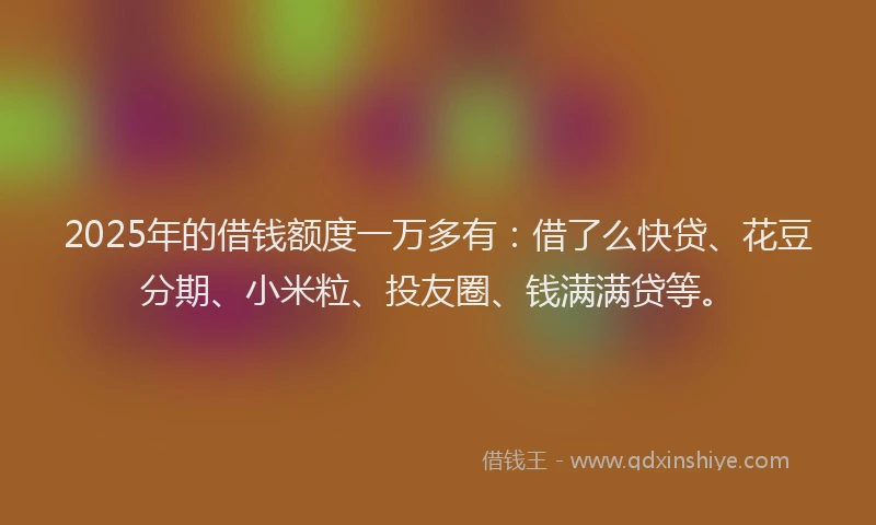 2025年的借钱额度一万多有：借了么快贷、花豆分期、小米粒、投友圈、钱满满贷等。