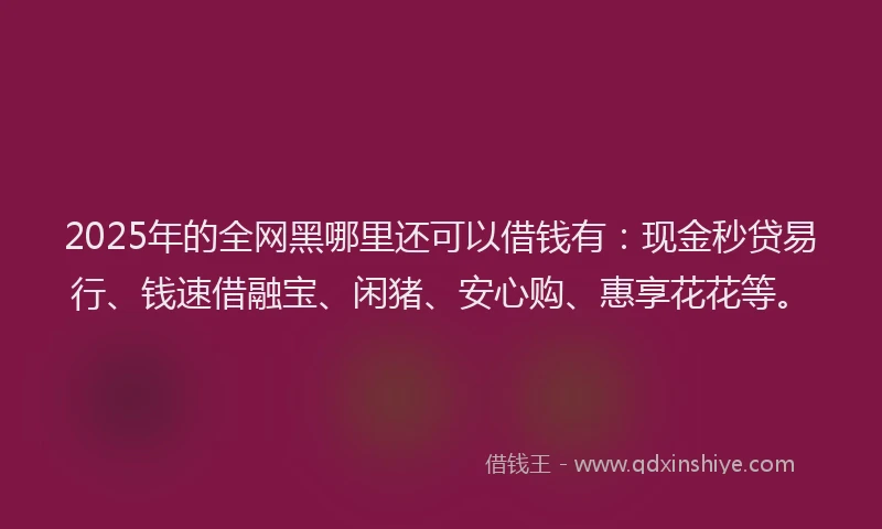 2025年的全网黑哪里还可以借钱有：现金秒贷易行、钱速借融宝、闲猪、安心购、惠享花花等。