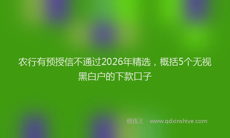 农行有预授信不通过2026年精选，概括5个无视黑白户的下款口子