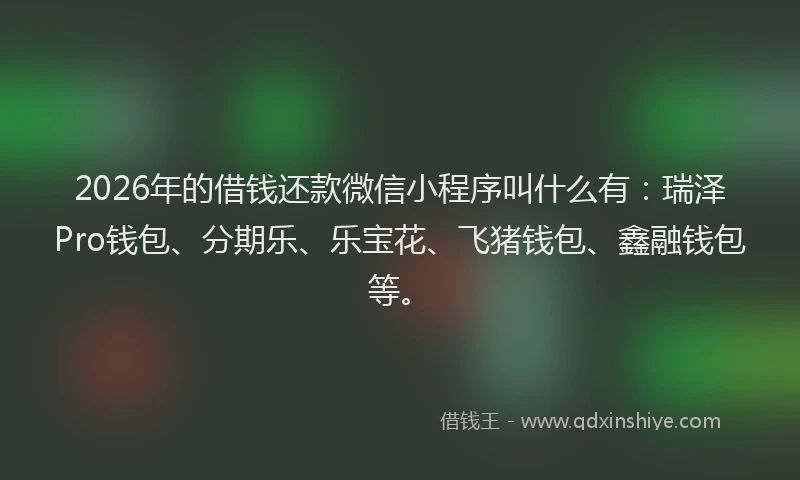 2026年的借钱还款微信小程序叫什么有:瑞泽Pro钱包、分期乐、乐宝花、飞猪钱包、鑫融钱包等。