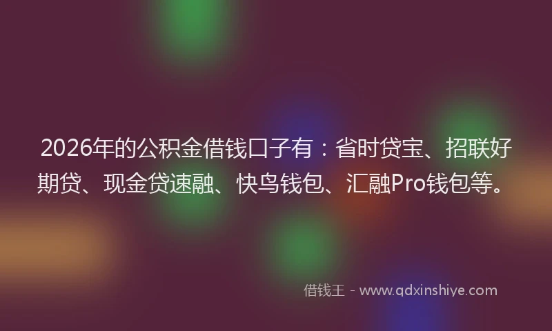 2026年的公积金借钱口子有：省时贷宝、招联好期贷、现金贷速融、快鸟钱包、汇融Pro钱包等。