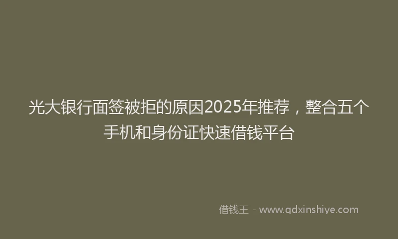 光大银行面签被拒的原因2025年推荐，整合五个手机和身份证快速借钱平台
