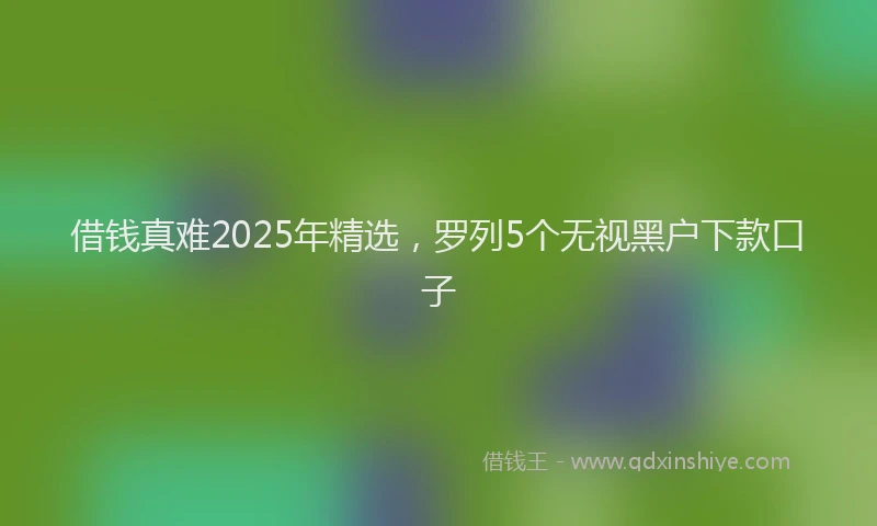 借钱真难2025年精选，罗列5个无视黑户下款口子