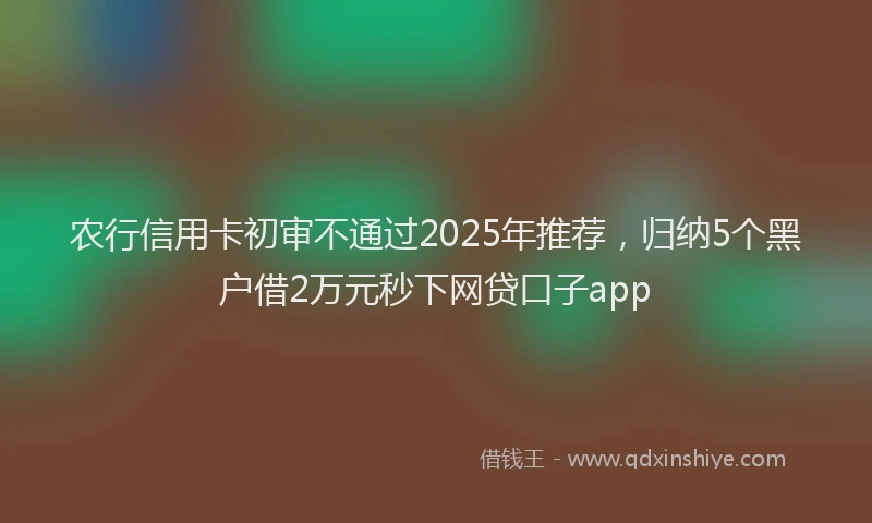 农行信用卡初审不通过2025年推荐，归纳5个黑户借2万元秒下网贷口子app