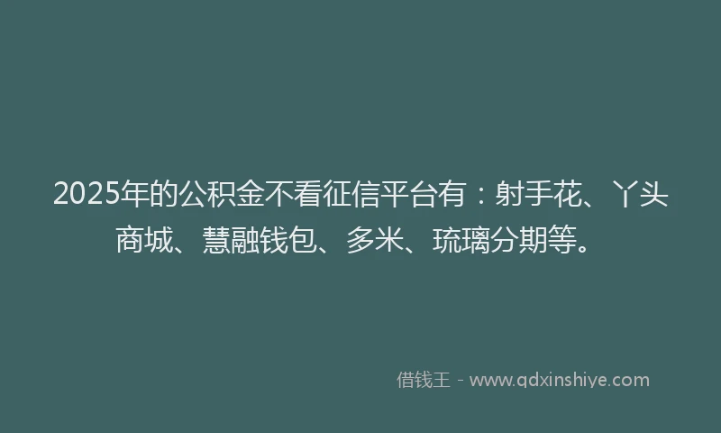 2025年的公积金不看征信平台有：射手花、丫头商城、慧融钱包、多米、琉璃分期等。
