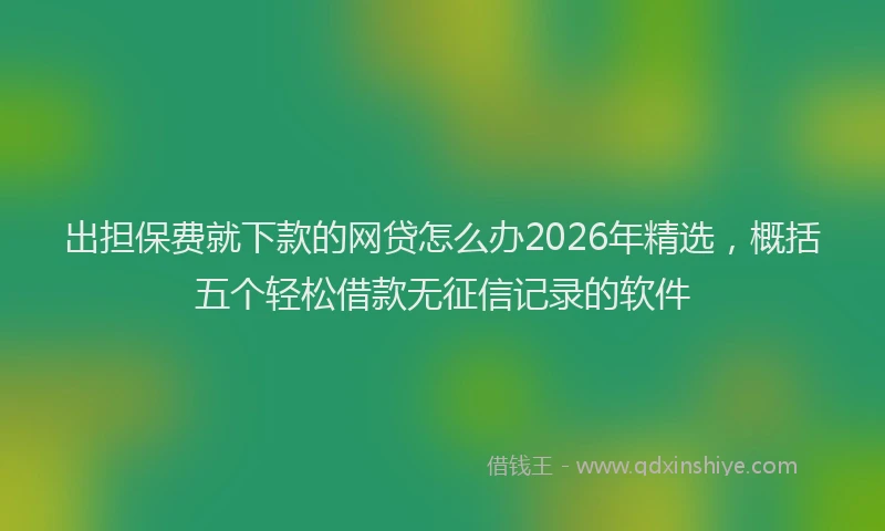 出担保费就下款的网贷怎么办2026年精选，概括五个轻松借款无征信记录的软件
