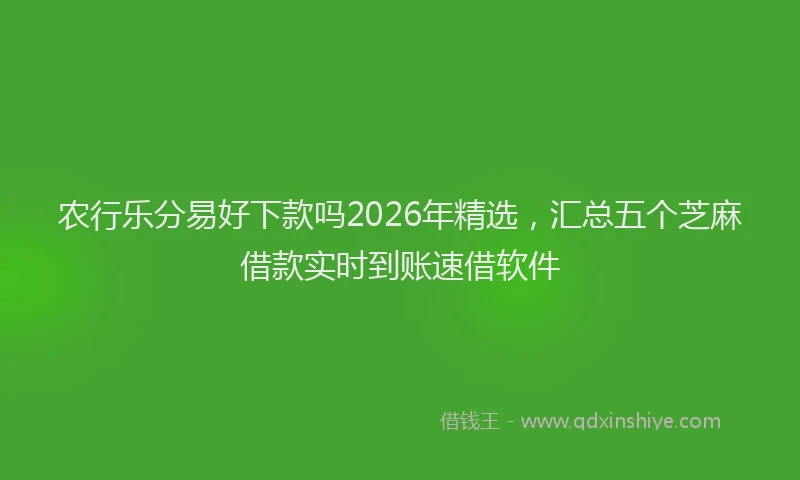 农行乐分易好下款吗2026年精选，汇总五个芝麻借款实时到账速借软件