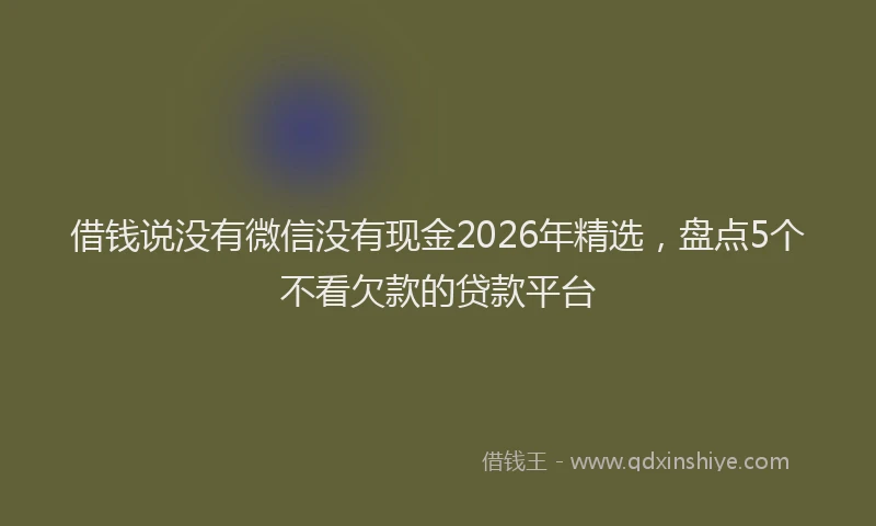借钱说没有微信没有现金2026年精选，盘点5个不看欠款的贷款平台