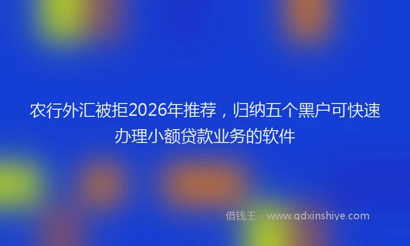 农行外汇被拒2026年推荐，归纳五个黑户可快速办理小额贷款业务的软件