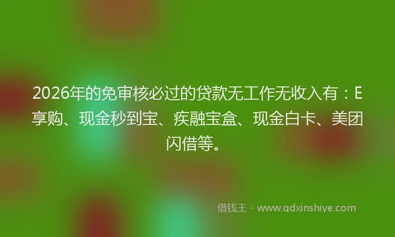 2026年的免审核必过的贷款无工作无收入有:E享购、现金秒到宝、疾融宝盒、现金白卡、美团闪借等。