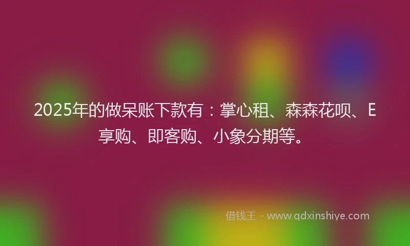 2025年的做呆账下款有：掌心租、森森花呗、E享购、即客购、小象分期等。